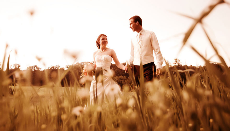 Eine herbstliche, strohige Wiese mit langen Grashalmen am späten Nachmittag. Ein Brautpaar spaziert Hand in Hand durch die Landschaft.